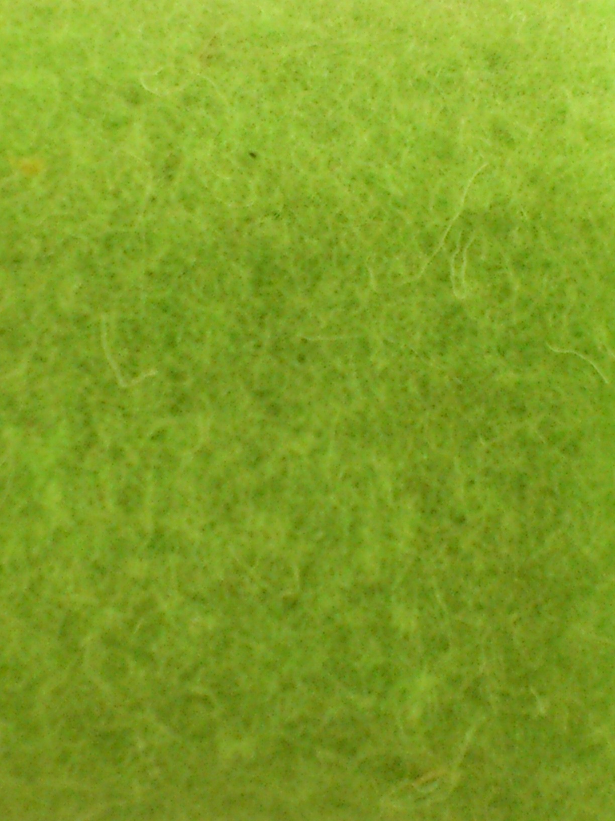 Felt wide 7.5 cm L= 5 m springgreen (GU02)